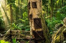 1 Day Toraja Tour to Explore the Culture and Ancient Site