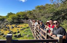 Jeju UNESCO West South and East Highlights 2 Days Combo Tour
