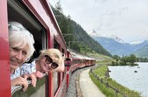 Intimate Small-Group Bernina UNESCO Scenic Train on Swiss Alps