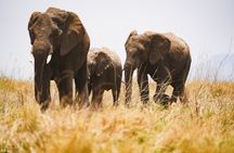 Classic Tanzania Safari 7 Days 6 Nights Private Safari