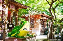 Yokabus Fukuoka Hiyoko Sweets Factory & Seasonal Fruit Picking