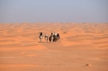 Camel Ride at Sunset & Overnight Stay in a Sahara Camp