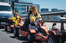 Tokyo Go-Kart Experience Through Ginza & Tokyo Bay (IDP Required)