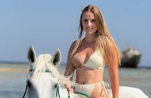 2 Hours Horse Riding with Swimming Option from Marsa Alam