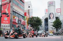 Tokyo Go-Kart through Shibuya and Shinjuku (IDP Required)