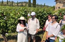 Small-Group Wine Tasting Experience in the Tuscan Countryside