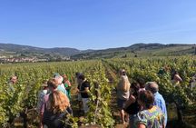 Small-Group Wine Tasting Experience in the Tuscan Countryside