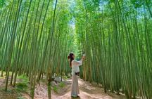 Gyeongju Cultural Heritage and Nature Day Tour from Busan