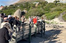 Half Day Cape Peninsula Tour Penguins Old Lighthouse and Sunset
