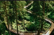 Ketchikan Black Bear Express