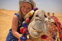 Giza Pyramids and Grand Egyptian Museum GEM Private Guided Tour