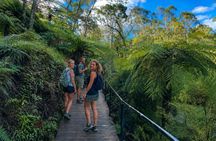 Blue Mountains 3 Scenic Walks & Ultimate Guided Tour from Sydney