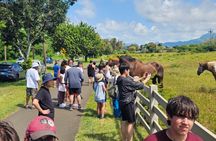 Oahu: Full-Day Circle Island Tour | Beach Stop, Free WiFi & Perks