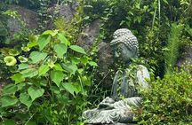 eBike Tour: Beppu's Secret Hells & Hot Spring Wonders