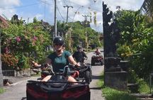 Bali ATV Ride Through Beach, Rice Field and Local Village 2 Hour
