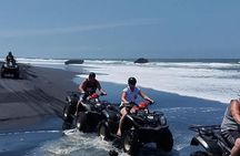 Bali ATV Ride Through Beach, Rice Field and Local Village 2 Hour