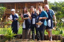Authentic Thai Cooking Masterclass with Local Market Walk