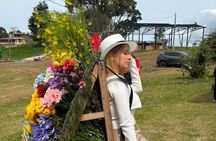 Medellin : Flower Fair in Saint Helena All year round