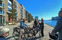 Private Bike Tour Copenhagen Architecture Masterclass