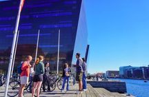 Private Bike Tour 3H Copenhagen Liveability and Urban Design
