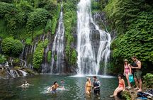 North Bali Private Tour: Ulun Danu, Banyumala & Jatiluwih