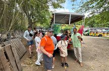 St Kitts 2 Hour Heritage and Coastal Tour with Drinks