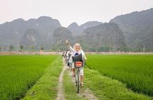 Ninh Binh Private Day Tour: Hoa Lu, Tam Coc, Bich Dong &Mua Cave