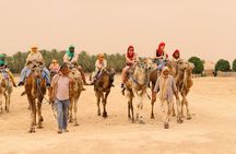Ksar Ghilane and Matmata Check-out from Djerba