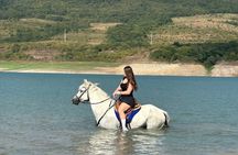 Sabaduri Horseback – Horse Riding Near Tbilisi