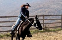 Sabaduri Horseback – Horse Riding Near Tbilisi