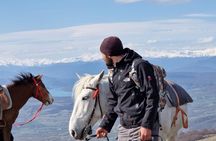 Sabaduri Horseback – Horse Riding Near Tbilisi