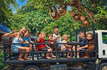 Roatan chocolate and rum company tour with optional stops