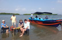 Negombo Lagoon Boat Safari Hotel Pickup(Monkey,Mangrove)