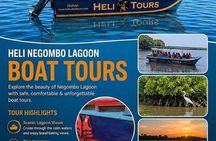Negombo Lagoon Boat Safari Hotel Pickup(Monkey,Mangrove)
