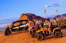 Family 3-Hour Desert Discovery Adventure