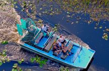Everglades Adventure and Miami City Tour