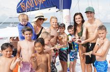 3 Hour Panama City Beach Dolphin Cruise and Shell Island Tour