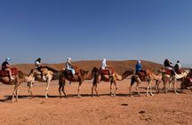 Agafay Desert Sunset Quad Biking Camel Ride Dinner and Fire Show