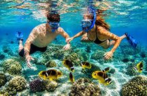 Private Party Boat and Catamaran Tours in Punta Cana