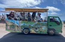 St Kitts 2 Hour Heritage and Coastal Tour with Drinks