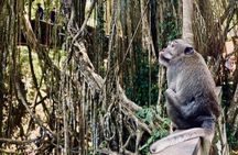 Ubud Private Tour: Hidden Waterfalls, Rice Terraces & Temple