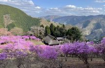 Private Okutama & Hinohara Day Trip from Tokyo | Hossawa Falls