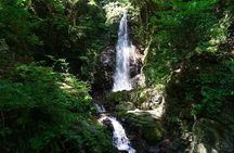Private Okutama & Hinohara Day Trip from Tokyo | Hossawa Falls