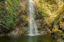 Private Okutama & Hinohara Day Trip from Tokyo | Hossawa Falls