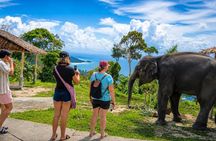 Phuket Elephant Vitamin Care & Observation Walk with Transfer