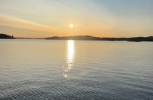 Lake Saimaa Sightseeing Cruise with a Local Family Company