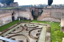 Colosseum admissions with video guide and Roman forum access