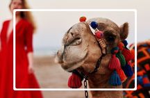 Cappadocia Trails: 3 Day Tour Including Balloon Ride & Camel Ride