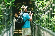 Half-Day Tour: Zip Line in the Rainforest with Lunch