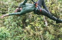 Half-Day Tour: Zip Line in the Rainforest with Lunch